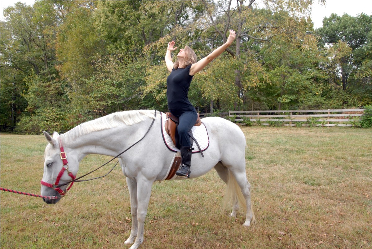 Yoga on Horseback - Strides to Success Strides to Success