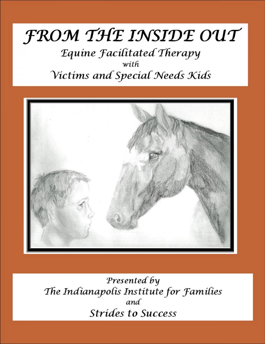 Book cover with pencil drawing of a boy looking at a horse