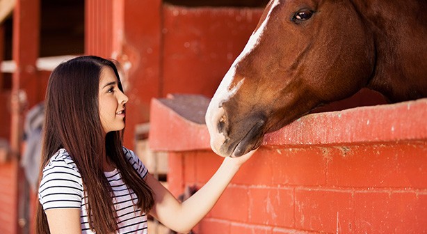 girl with hand near horse's mouth looks up at it