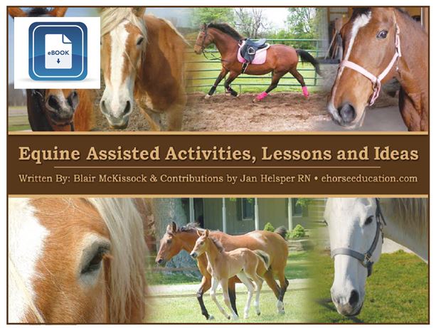 Book cover for horse activities with various horses on the cover