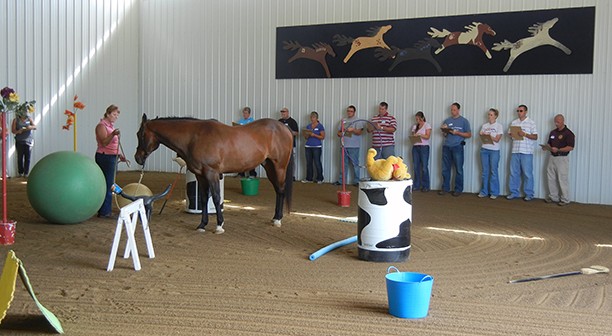 educator leading a class in indoor horse arena