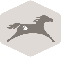 grey horse on grey back diamond