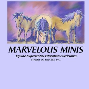 Cover photo for the Marvelous Minis program with hand-drawn pony picture