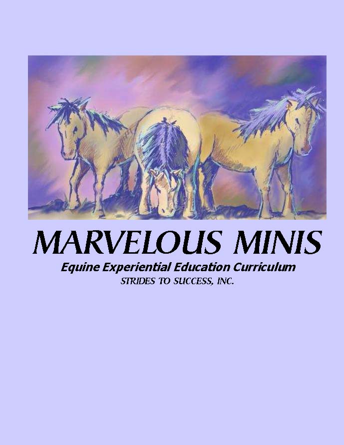 Cover photo for the Marvelous Minis program with hand-drawn pony picture