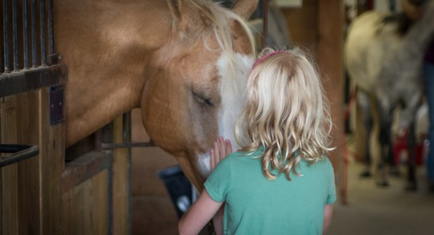 Blonde-haired girl with back to camera petting horse in stall
