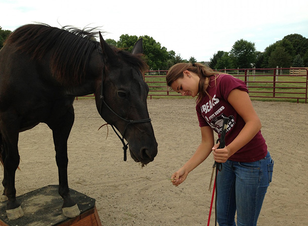 Girl holding small piece of food for dark brown horse