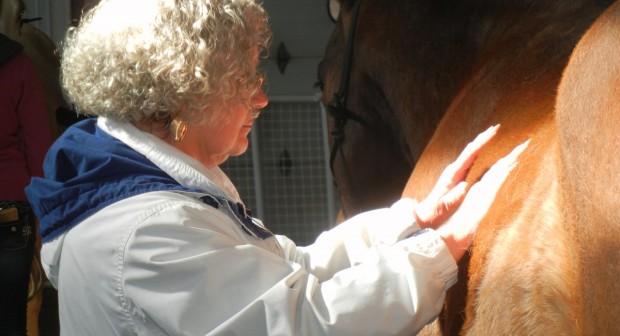 older woman with both hands reverently touching a horse's flank