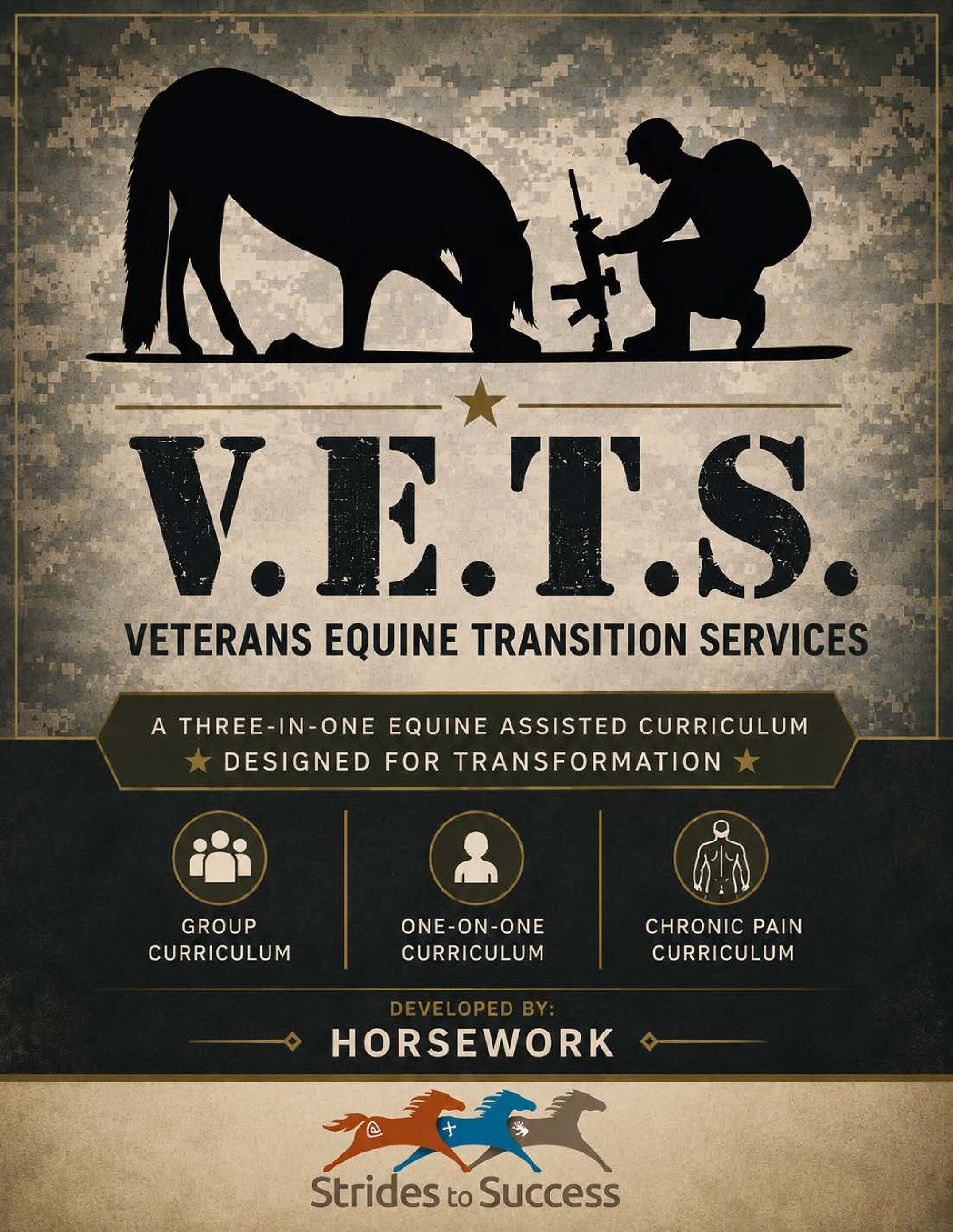 VETS- Veterans Equine Assisted Learning Program Downloadable Ebook